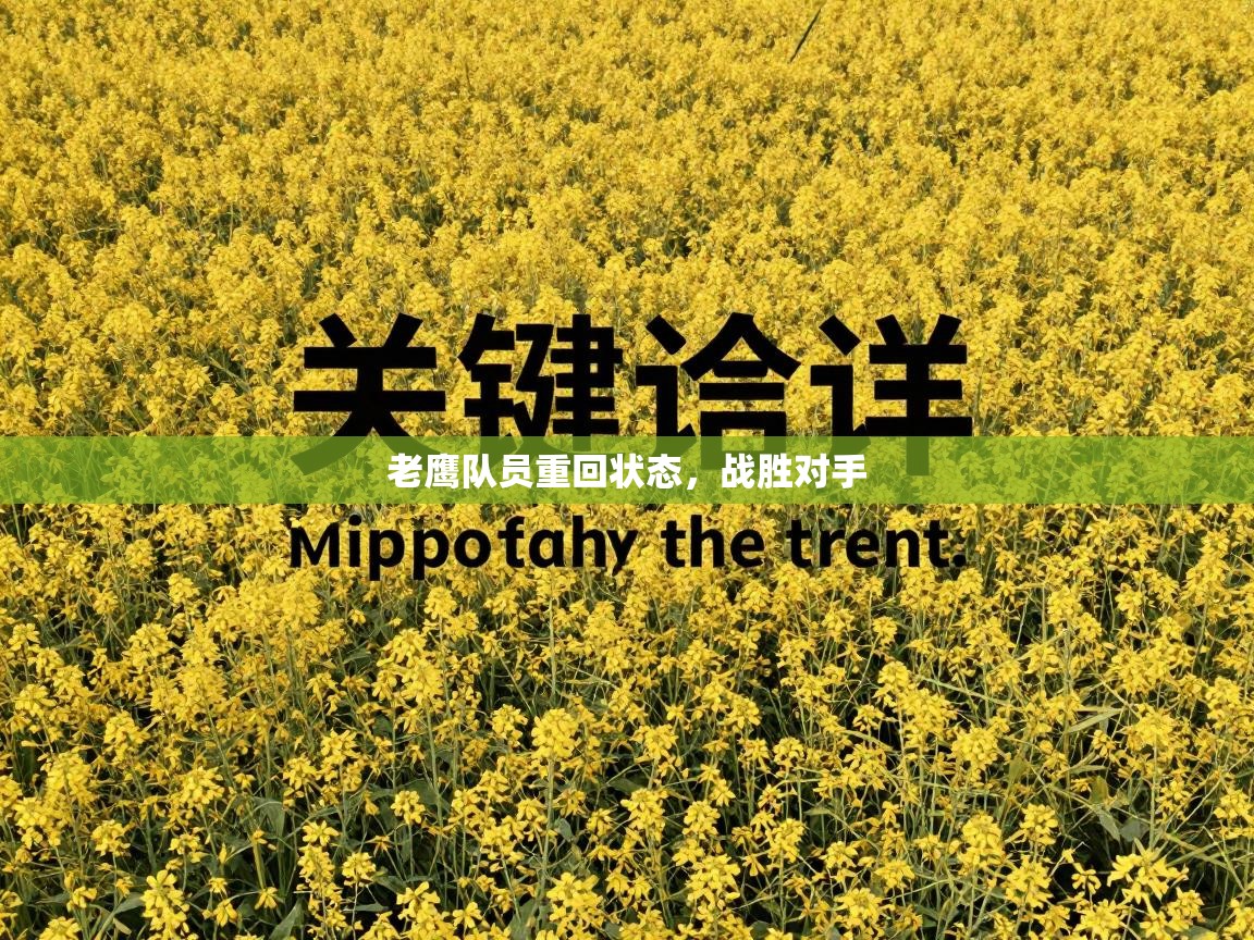 老鹰队员重回状态，战胜对手  第1张