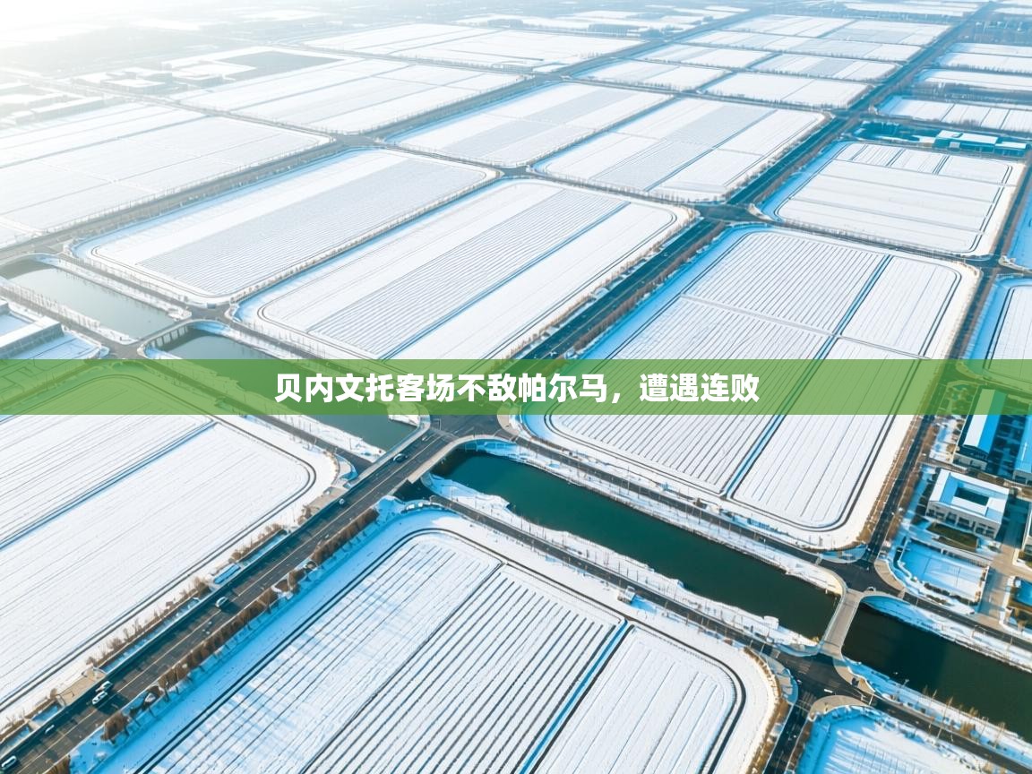 贝内文托客场不敌帕尔马，遭遇连败  第1张