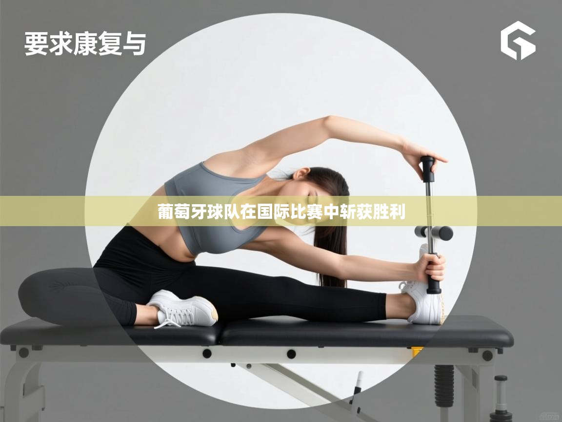 葡萄牙球队在国际比赛中斩获胜利 第2张