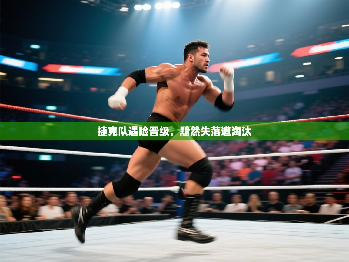 捷克队遇险晋级，黯然失落遭淘汰  第2张